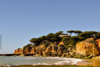 House on cliff surrounded by pine trees overlooking the sea